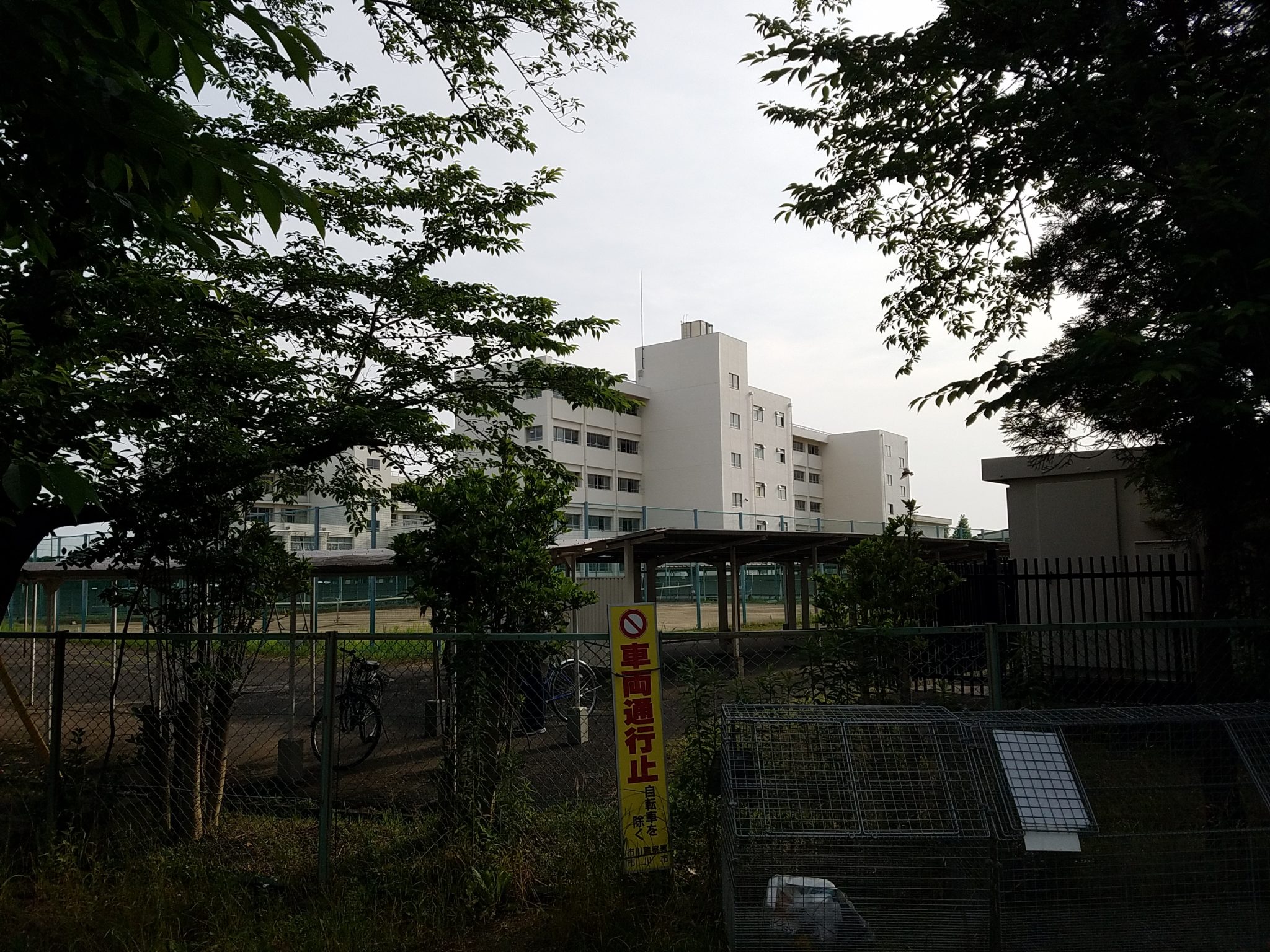 市川東高校解説！そして行ってみた！｜市川藤原塾ブログ